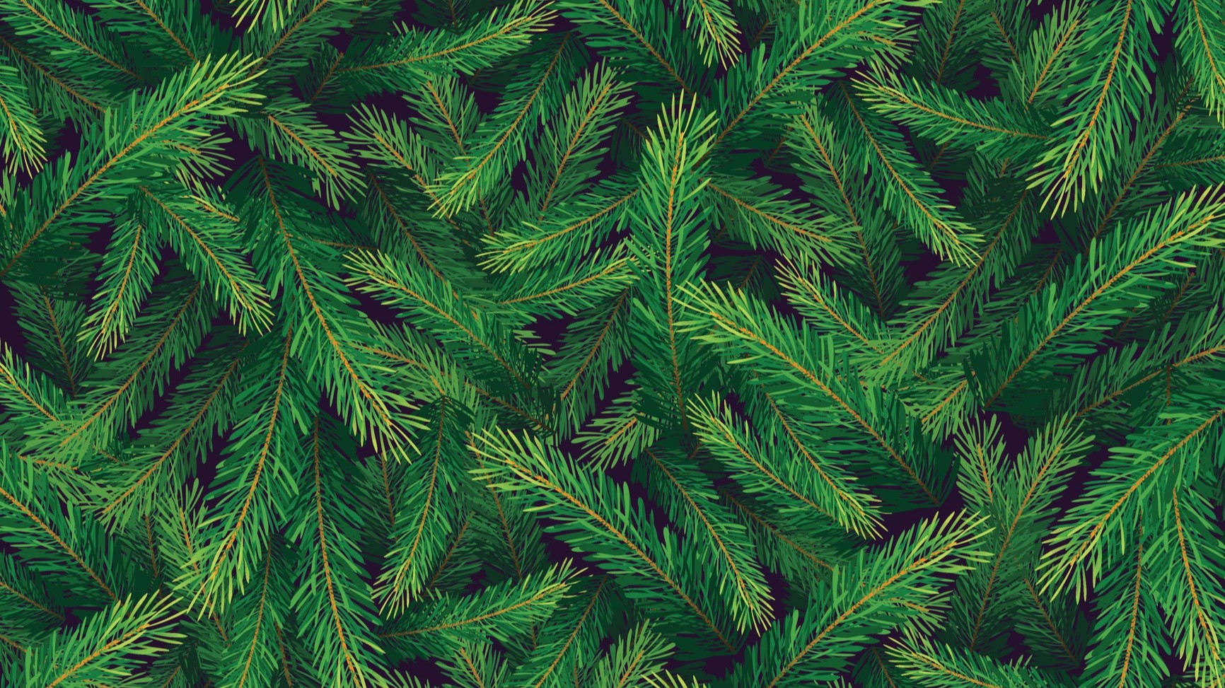 Louisville offers curbside pickup for Christmas tree disposal